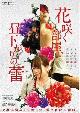 日本电影《雪国来信》海报